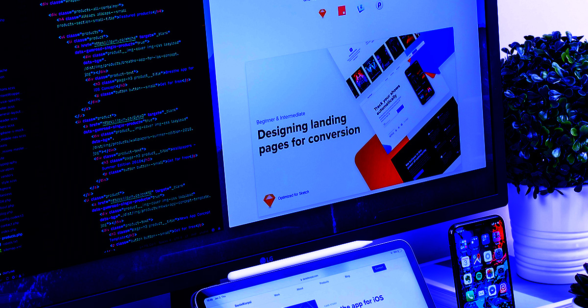Difference between landing pages and website